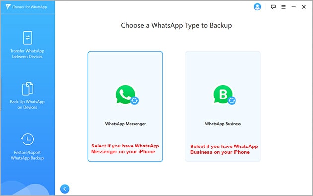 backup whatsapp or whatsapp business messages from iphone to computer
