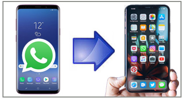 Whatsapp chat transfer