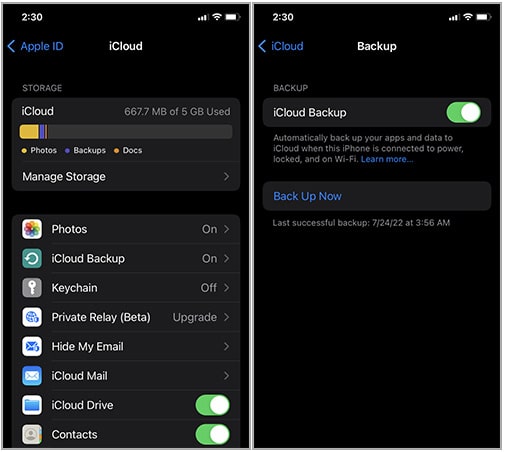 backup iphone data to icloud before resetting iPhone