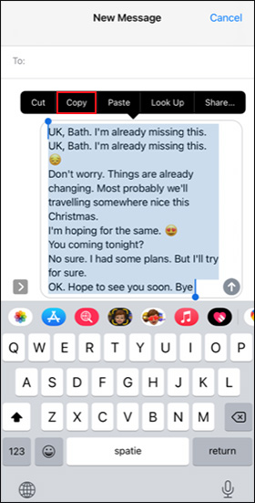 copy content of your iphone message
