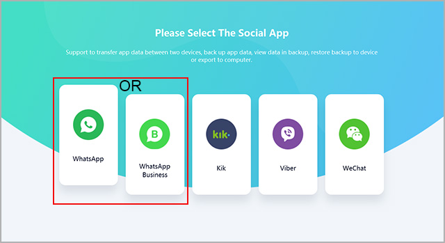 choose whatsapp or whatsapp business option